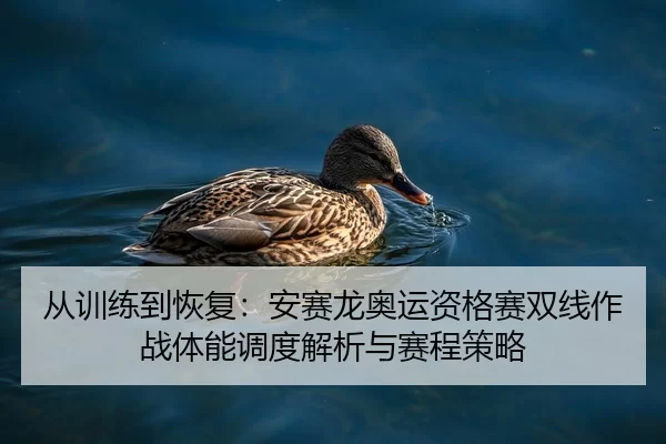 从训练到恢复：安赛龙奥运资格赛双线作战体能调度解析与赛程策略